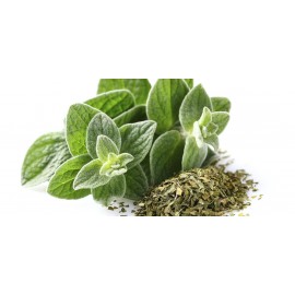 OREGANO