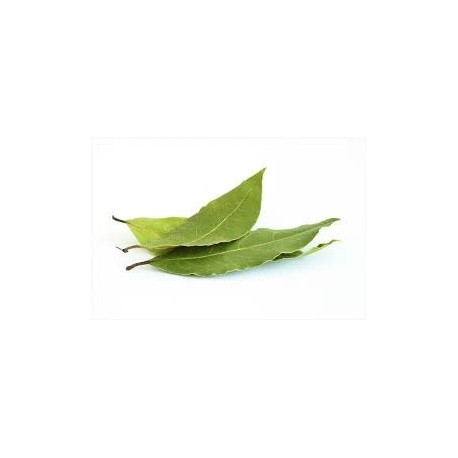 ñora
