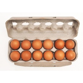 HUEVOS XL